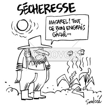 dessin de Soulcié, réf. 0051-1447