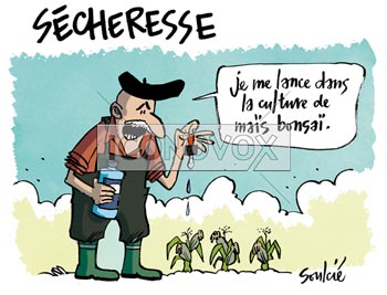 dessin de Soulcié, réf. 0051-1487