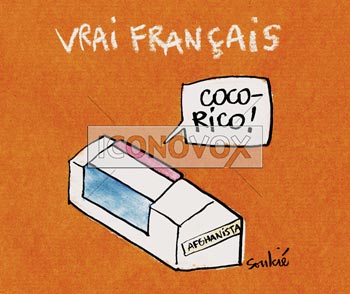 dessin de Soulcié, réf. 0051-1555