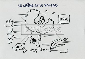 dessin de Soulcié, réf. 0051-1646