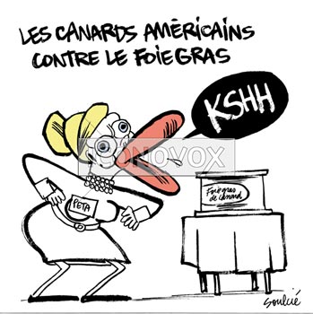 dessin de Soulcié, réf. 0051-2322