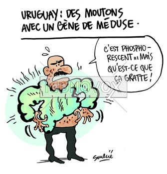 dessin de Soulcié, réf. 0051-2836