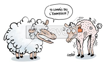 dessin de Soulcié, réf. 0051-2855