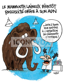 dessin de Soulcié, réf. 0051-3320