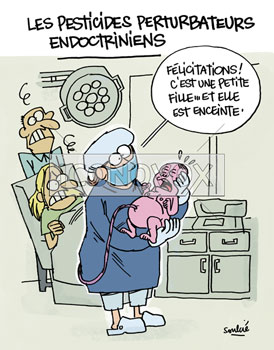 dessin de Soulcié, réf. 0051-3633