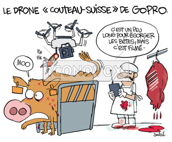 dessin de Soulcié, réf. 0051-3850