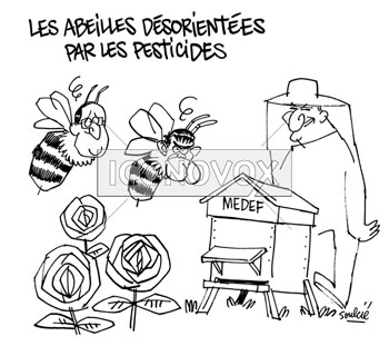 dessin de Soulcié, réf. 0051-3898
