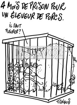 dessin de Tignous, réf. 0005-1343