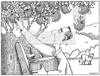 dessin de Tweedt, r&eacute;f. 0007-0061